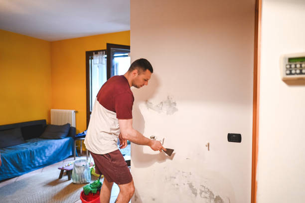 Best Black Mold Removal  in Braham, MN